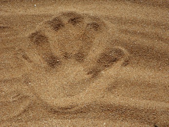 Sandplay Therapy Handprint in Sand